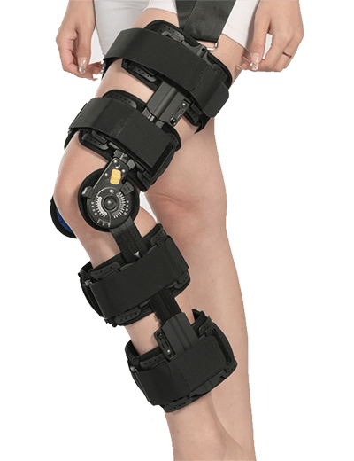 Knee joint series